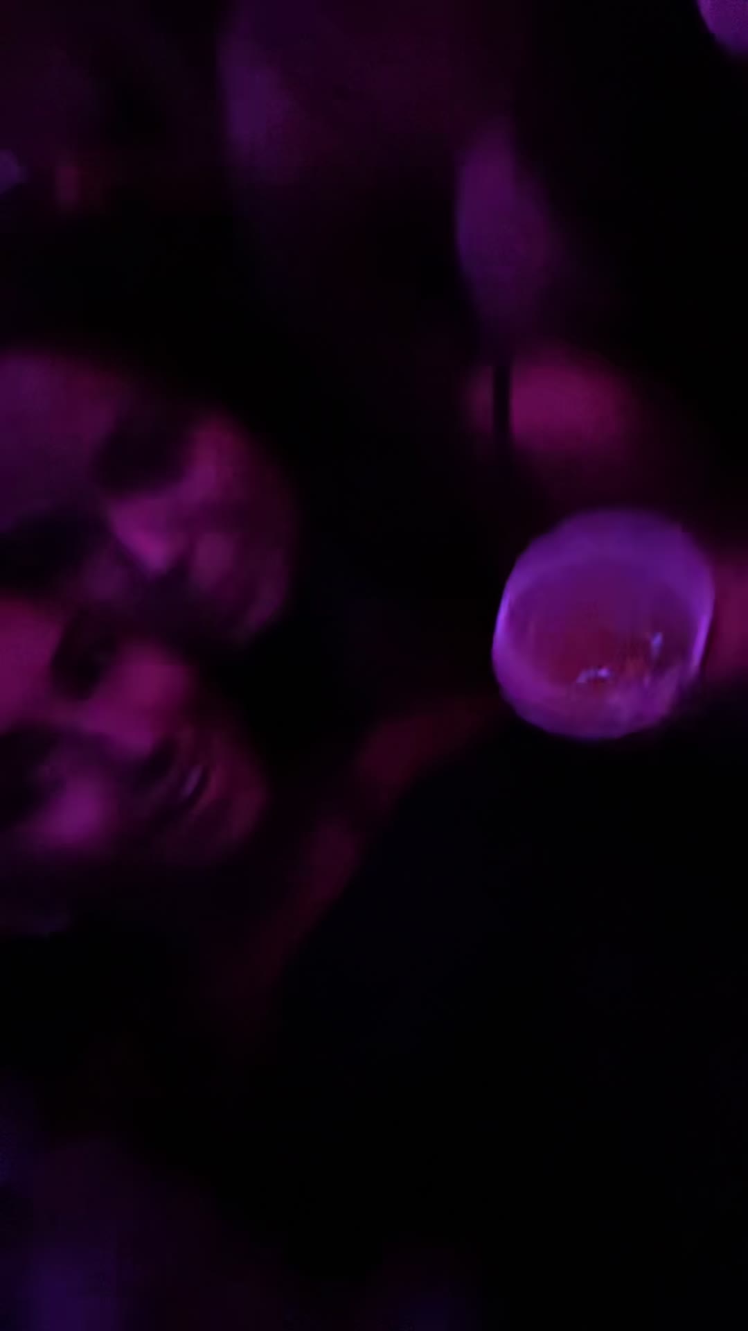 @abigailunderwoodd