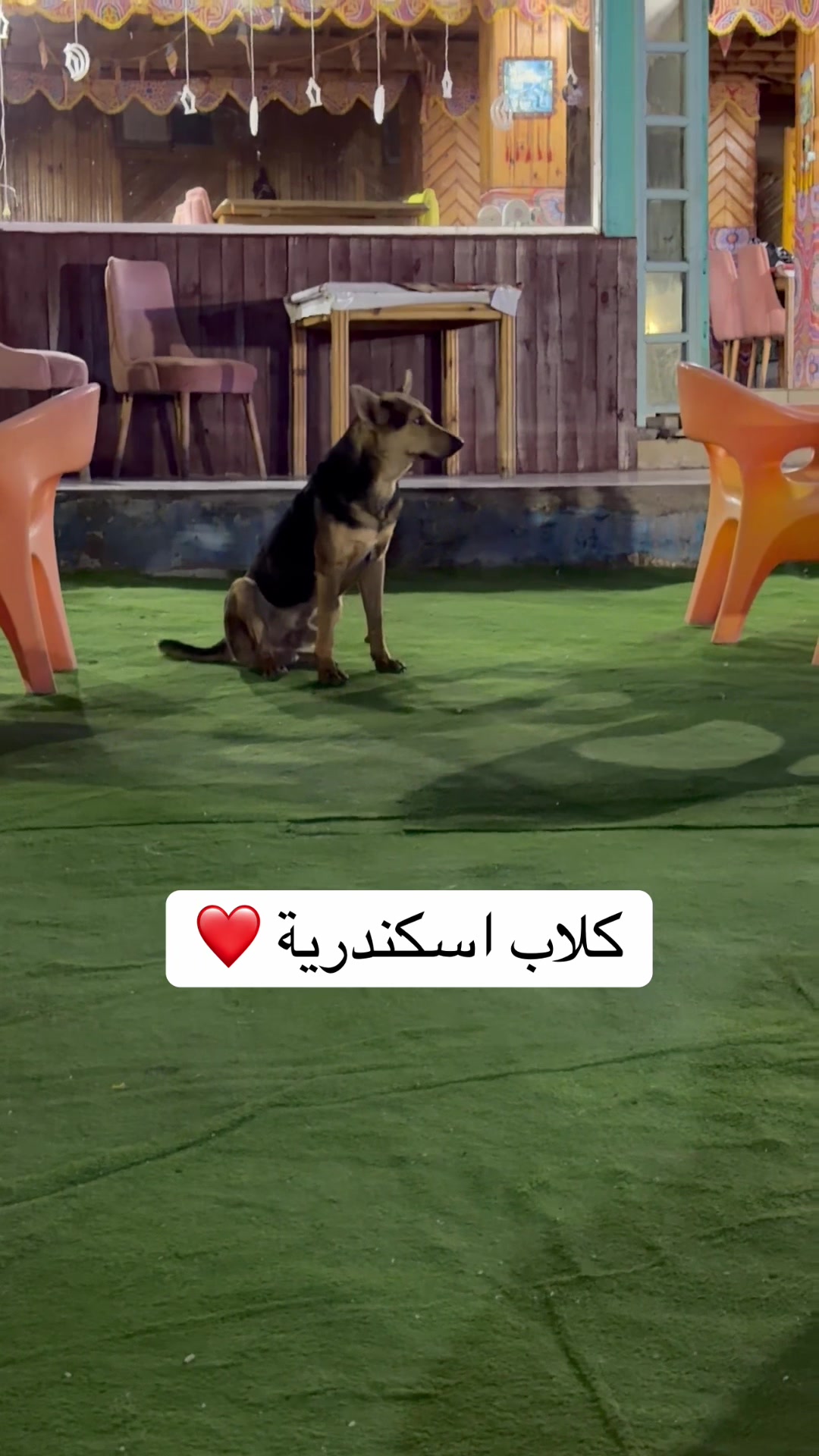 @Mohamed Eldawy