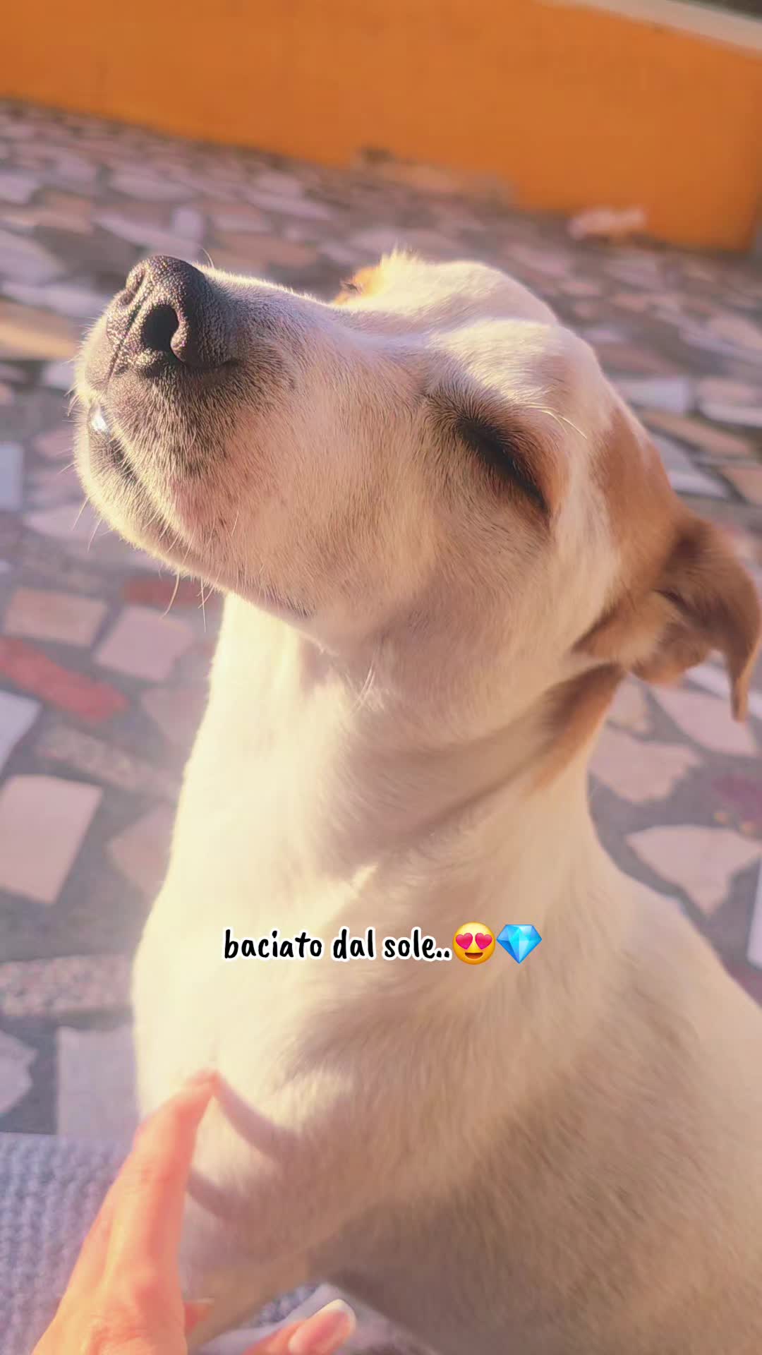 @Veronica Stella Priv♀♀️LGBT🌈