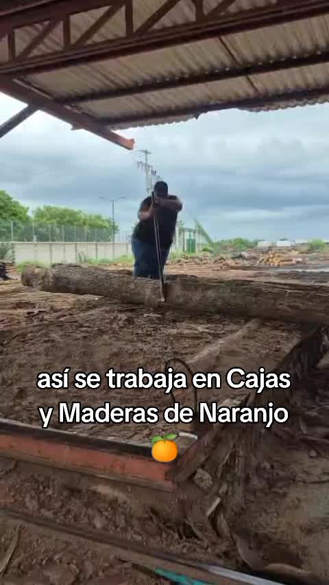 @ConejOrnelas