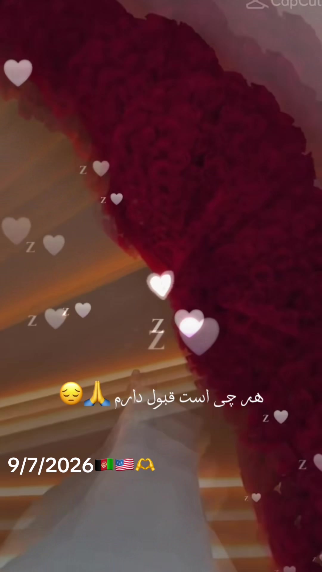 @Sofia Sahar