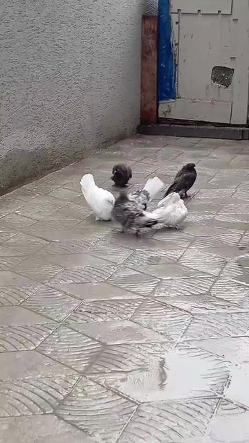 @Kenan Öztürk