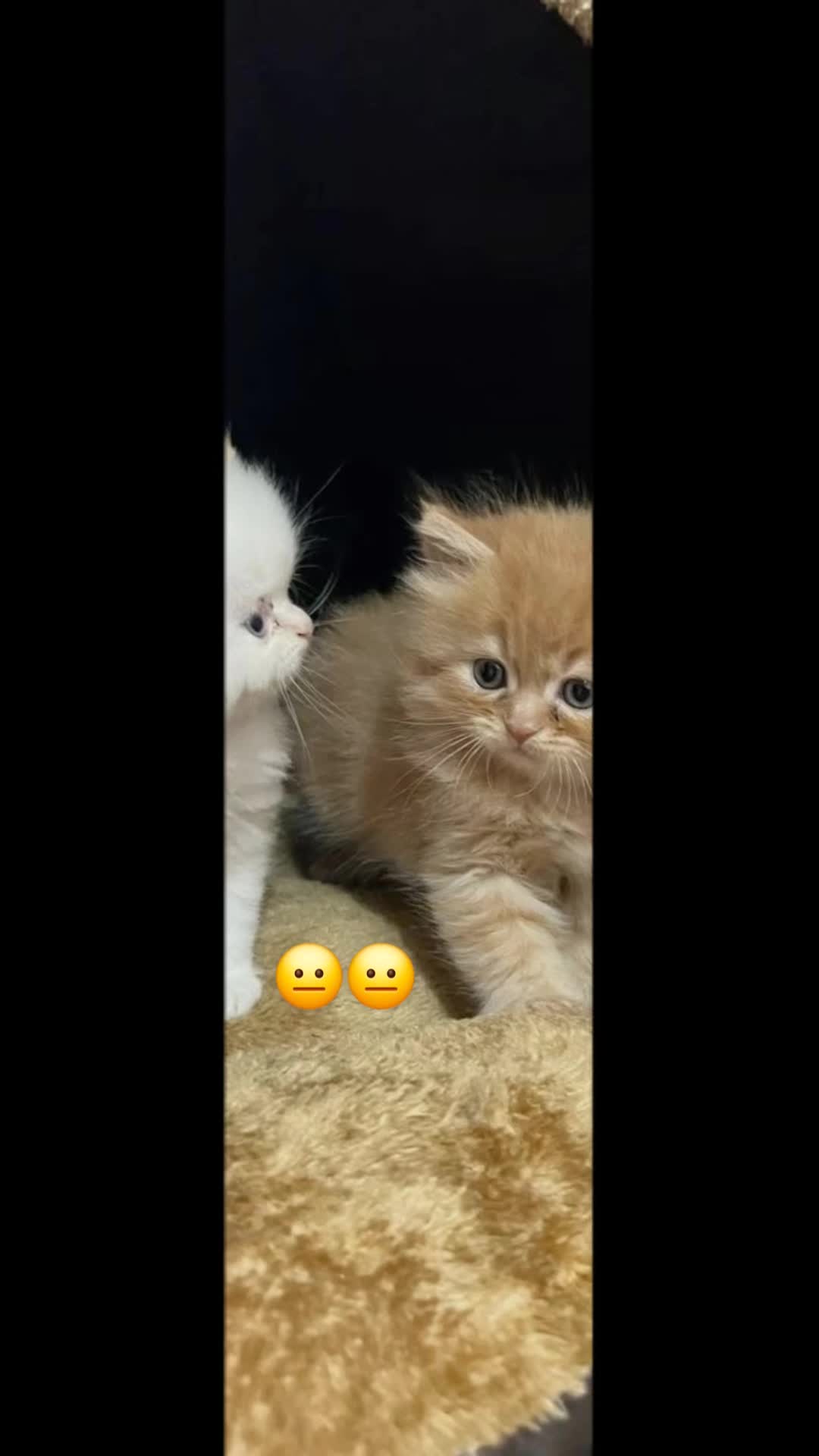 @سکون e قلب❤️🩹