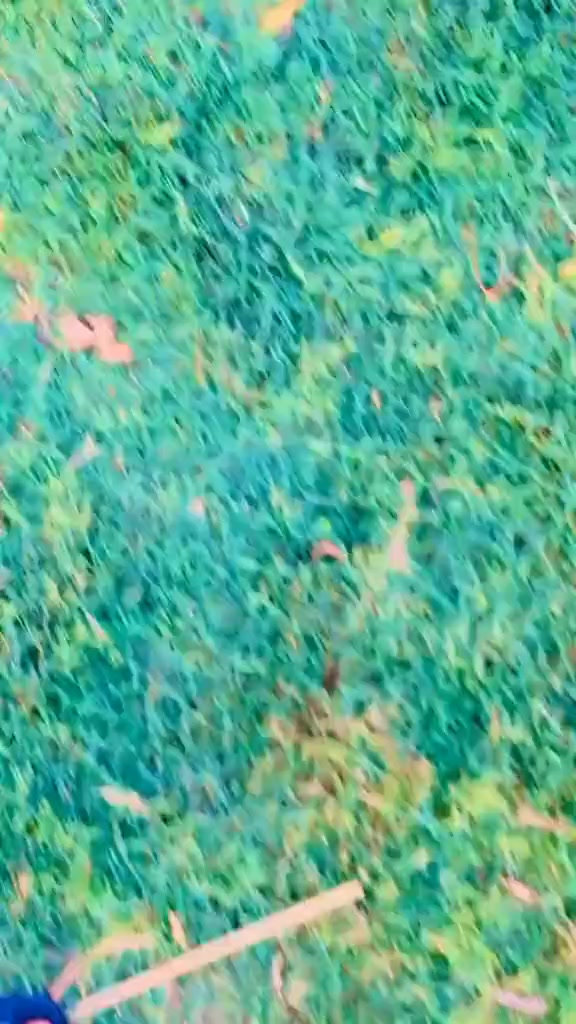 @👑حسین شاہد قریشی👑