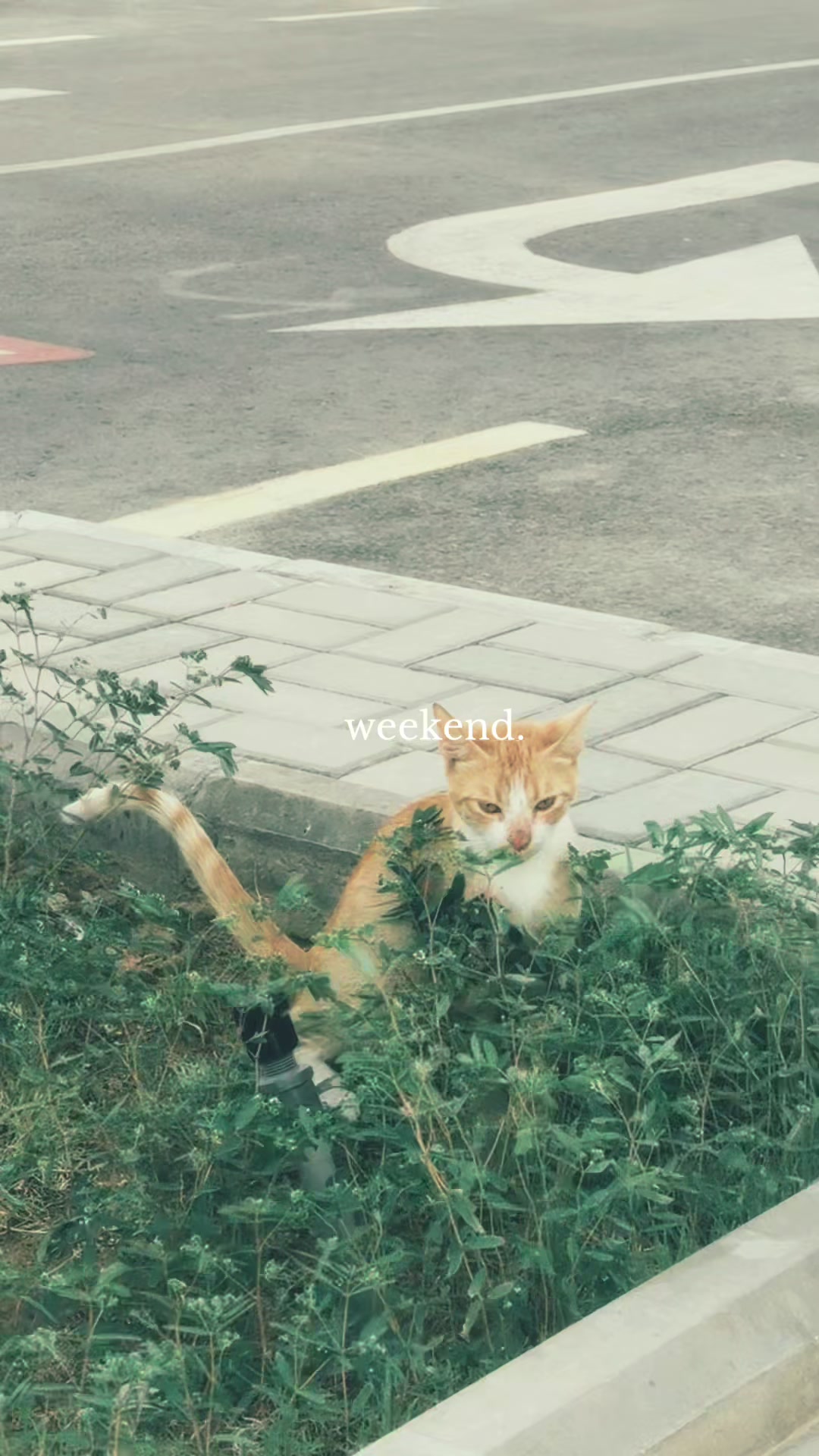 @P.S