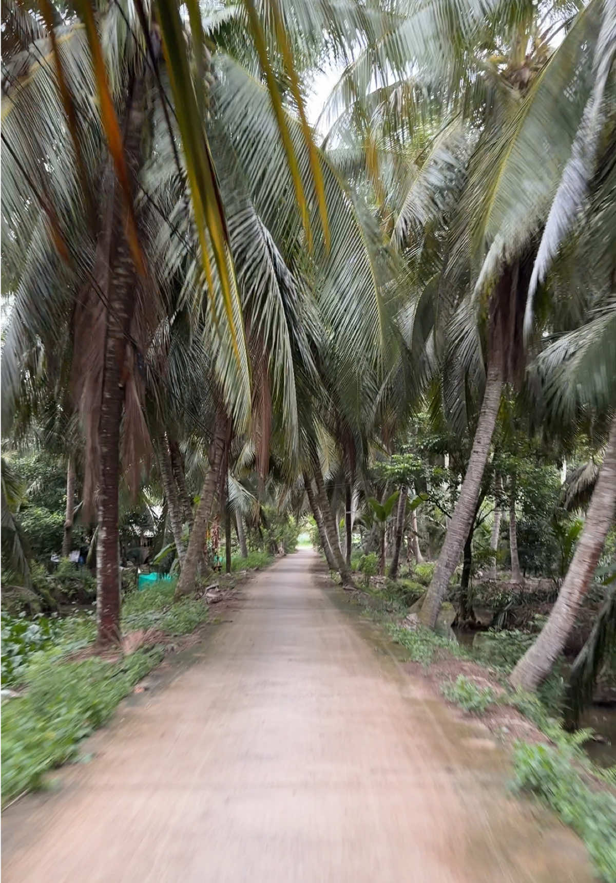 @Khánh hí quê Bạc Liêu