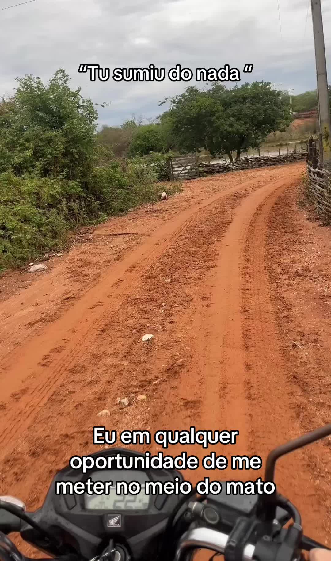 @Vit&oacute;rinha