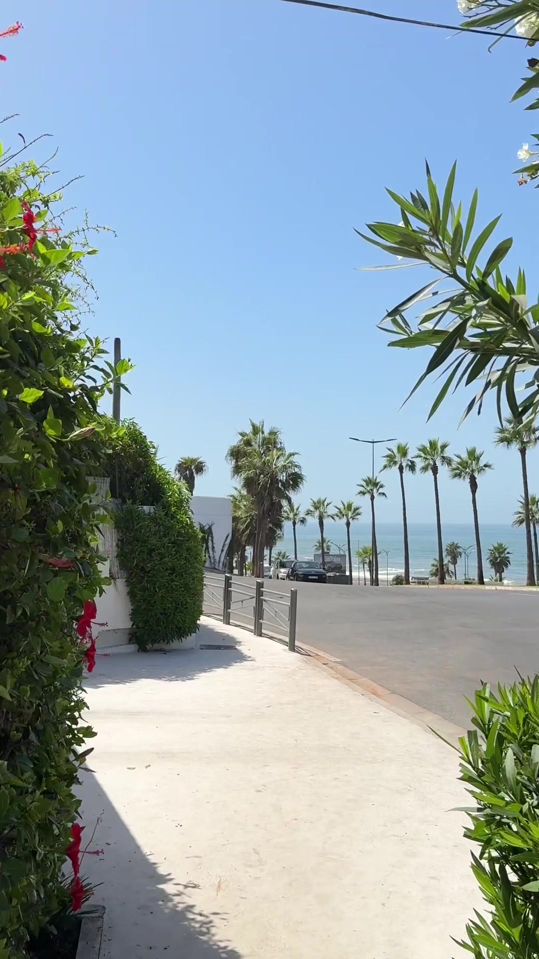 @iliasinmotion