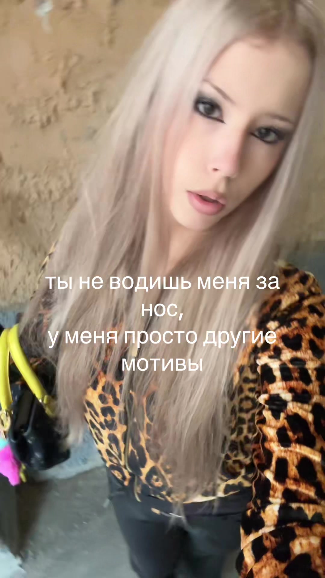 @тгк:meowarr
