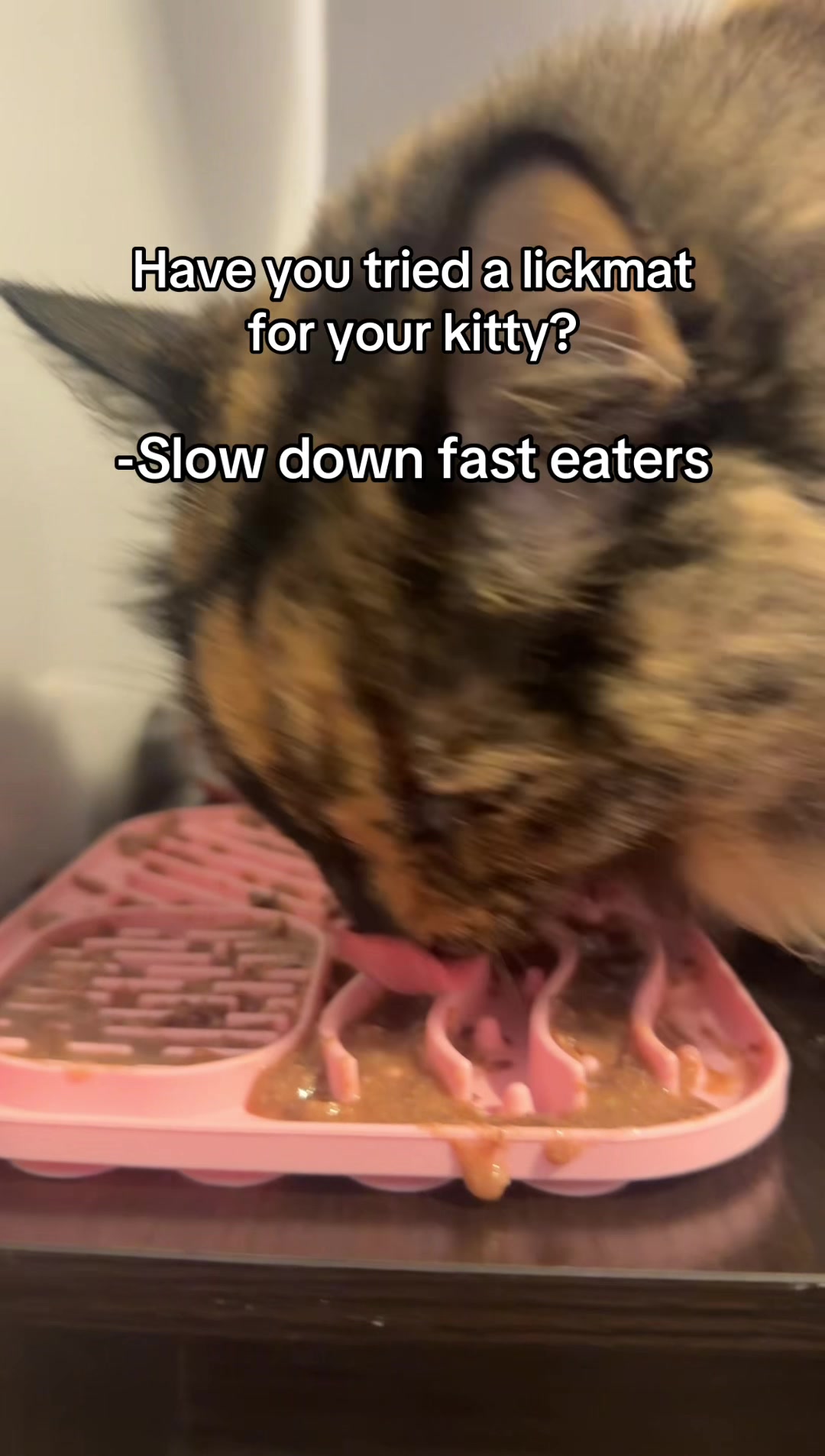 @fish⁷