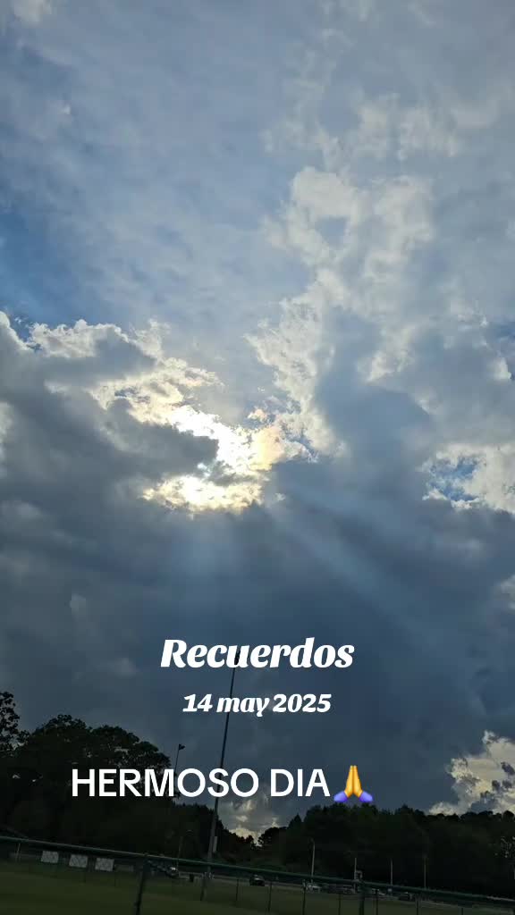 @Carmen Diaz5575