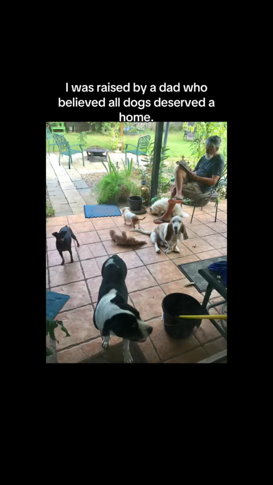 @Just A Girl Saving Dogs