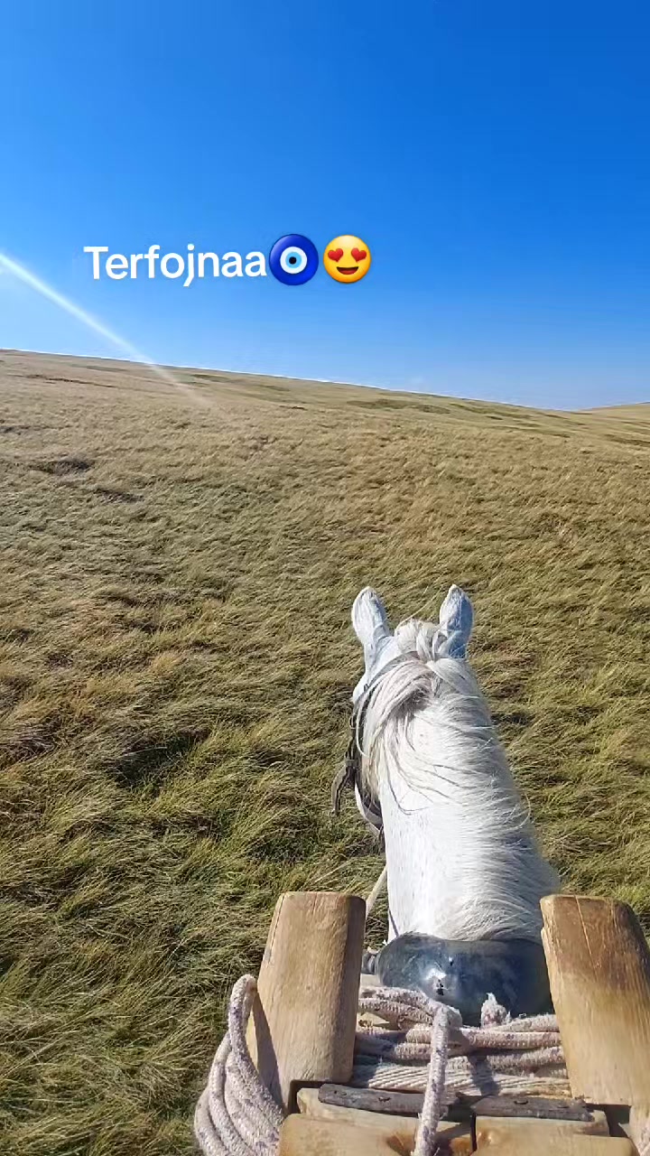 @Fshati_fshat😍