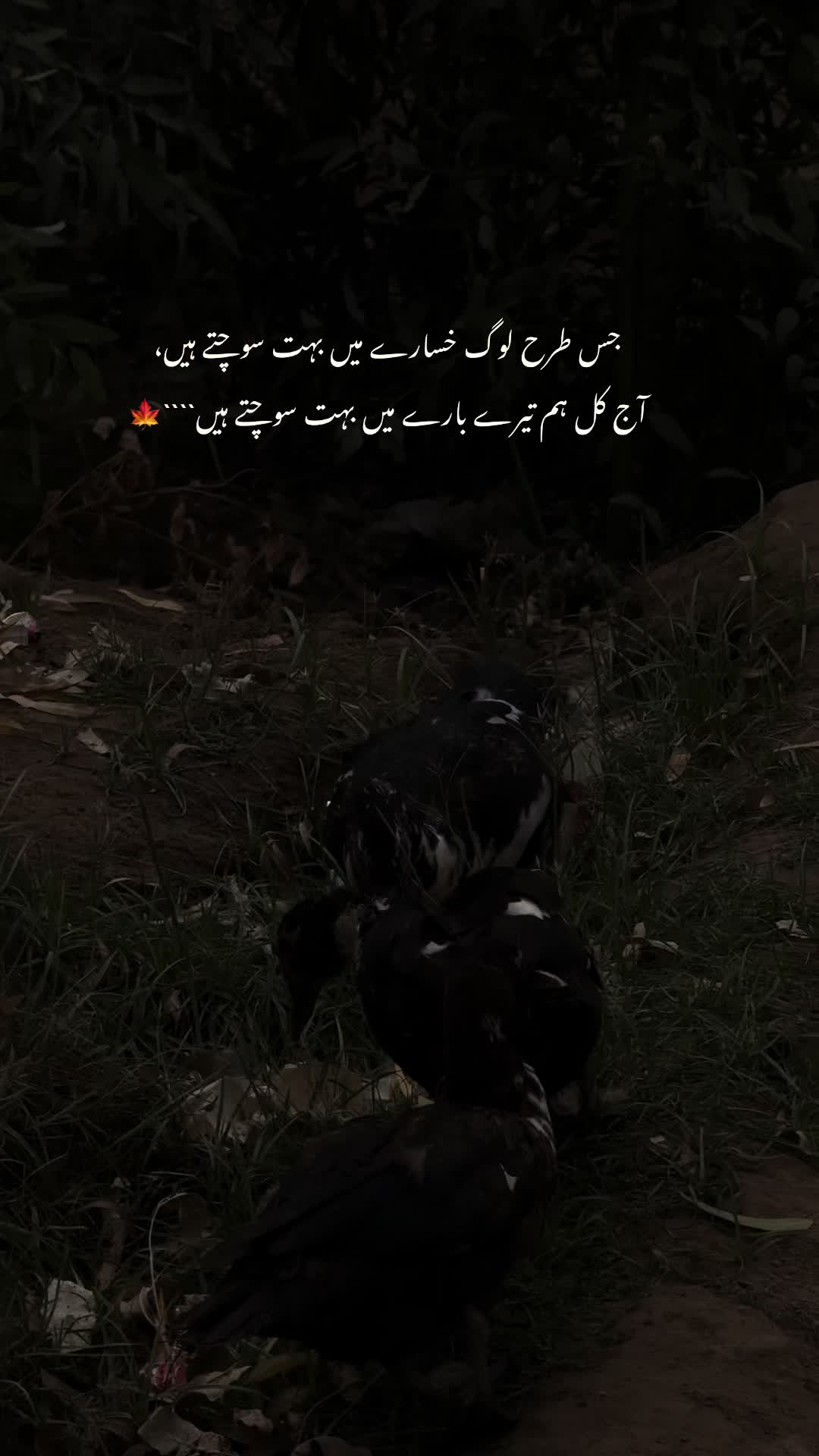 @🌸~