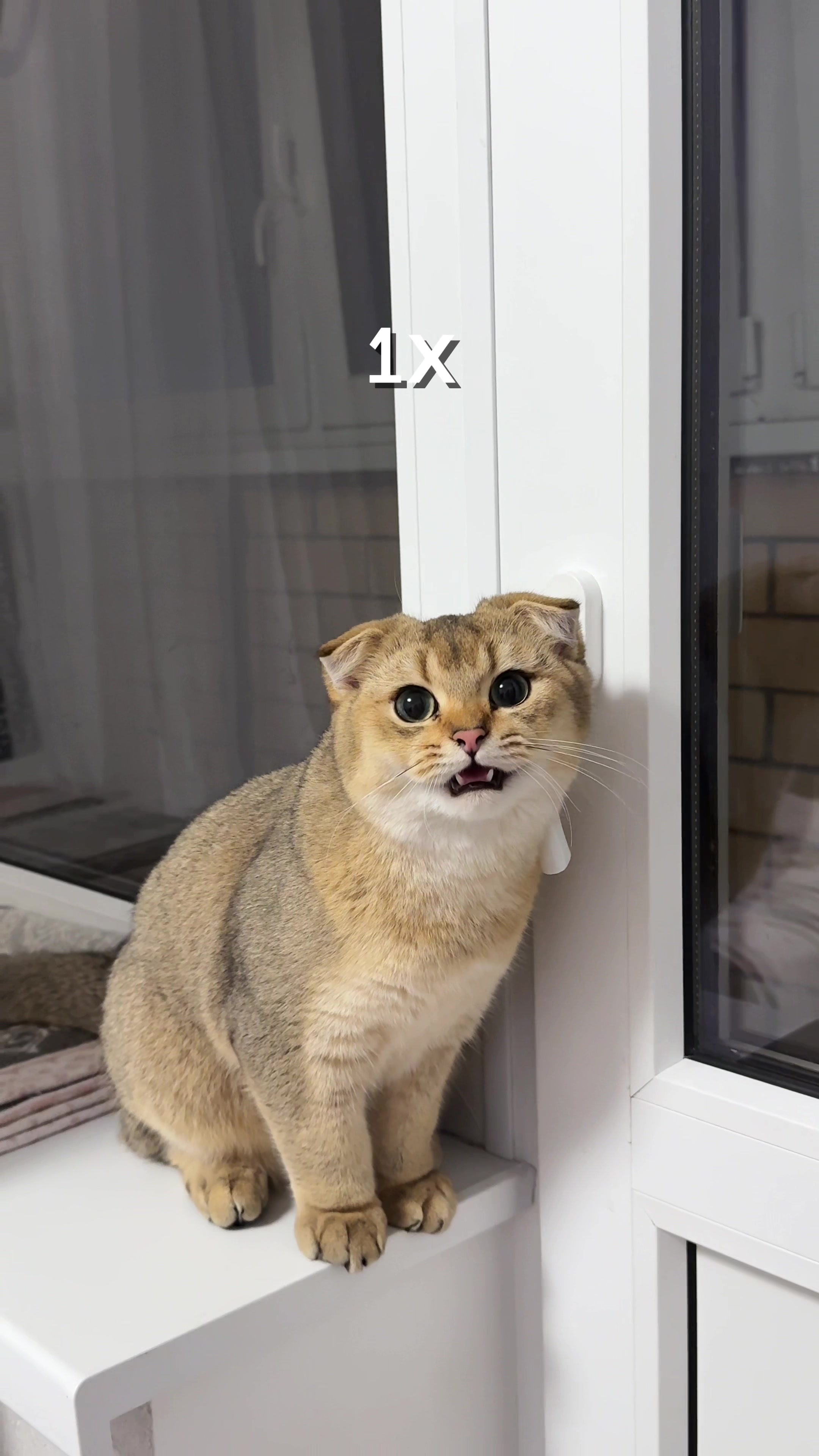 @Владочка