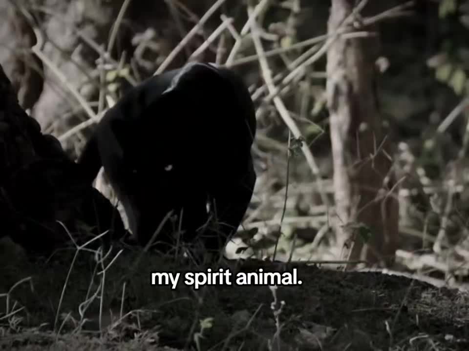 @KJ .
