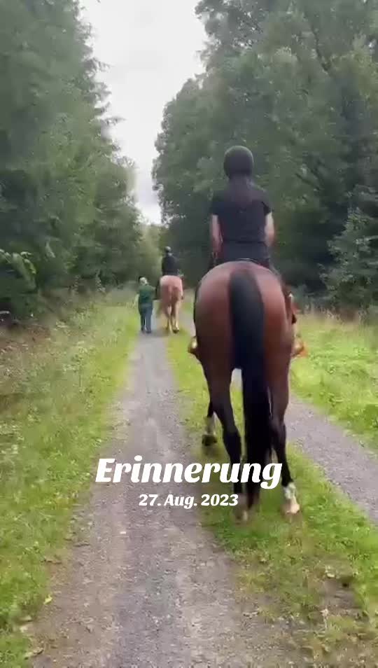 @✨💗