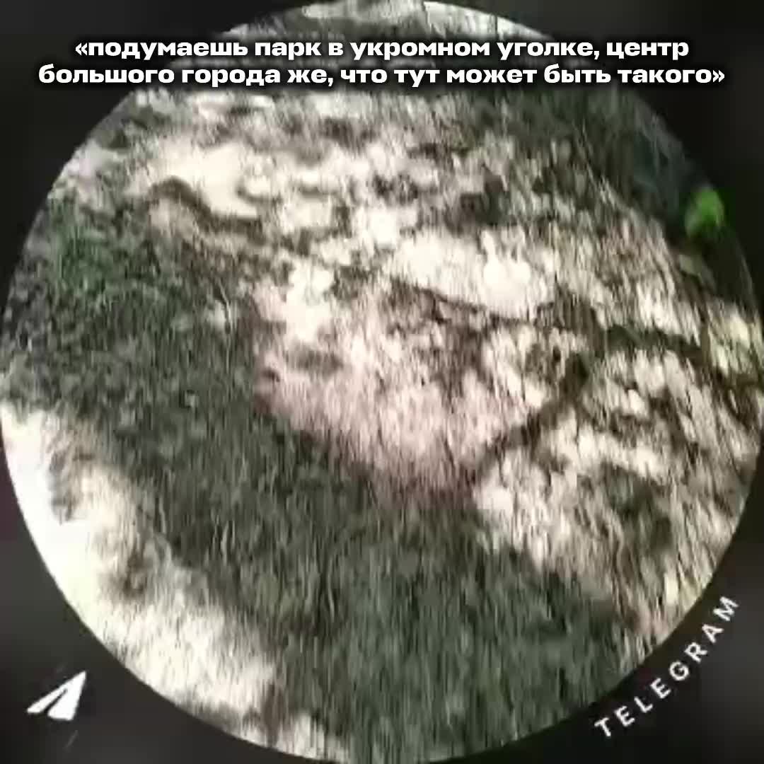 @позорница энка(?)