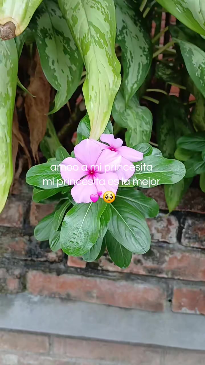 @XLs_.Mayito777ᴹᴿ&deg;᭄🤍🧸