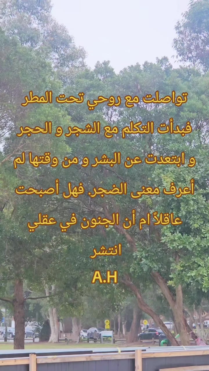 @🔻🏴ADEL🏴🔻