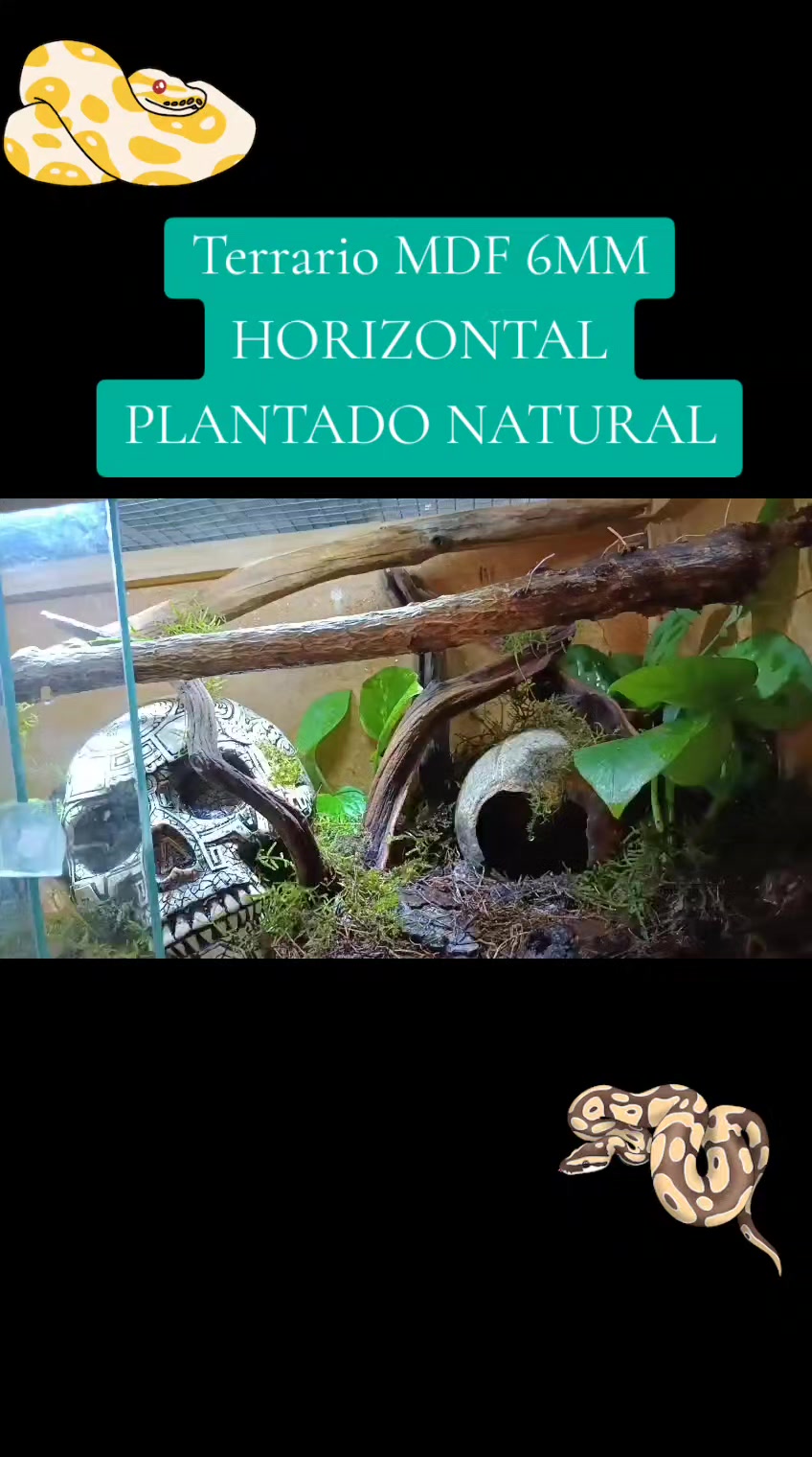 @Rodrigo EXOTIC AQUARIO