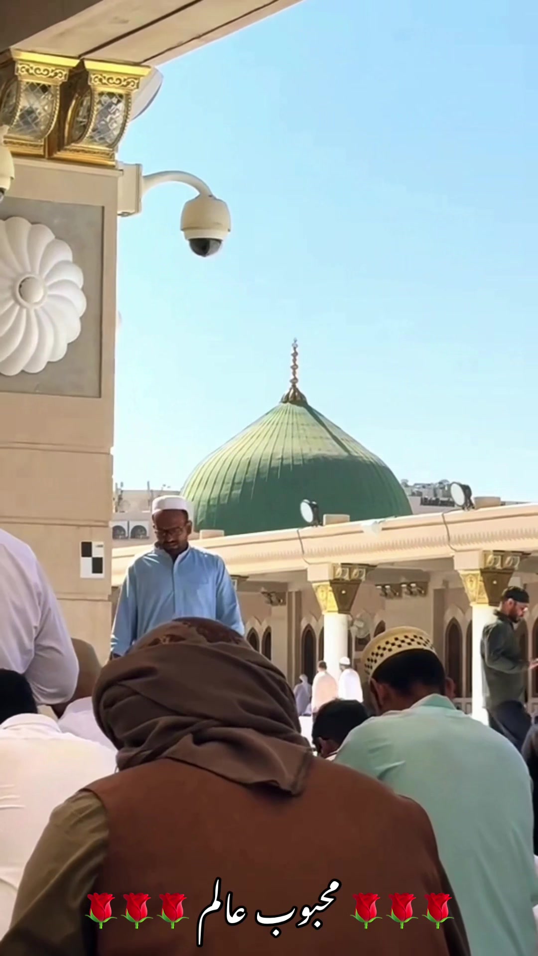 @محبوب عالم