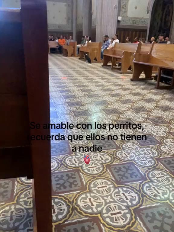 @Ana Gallegos