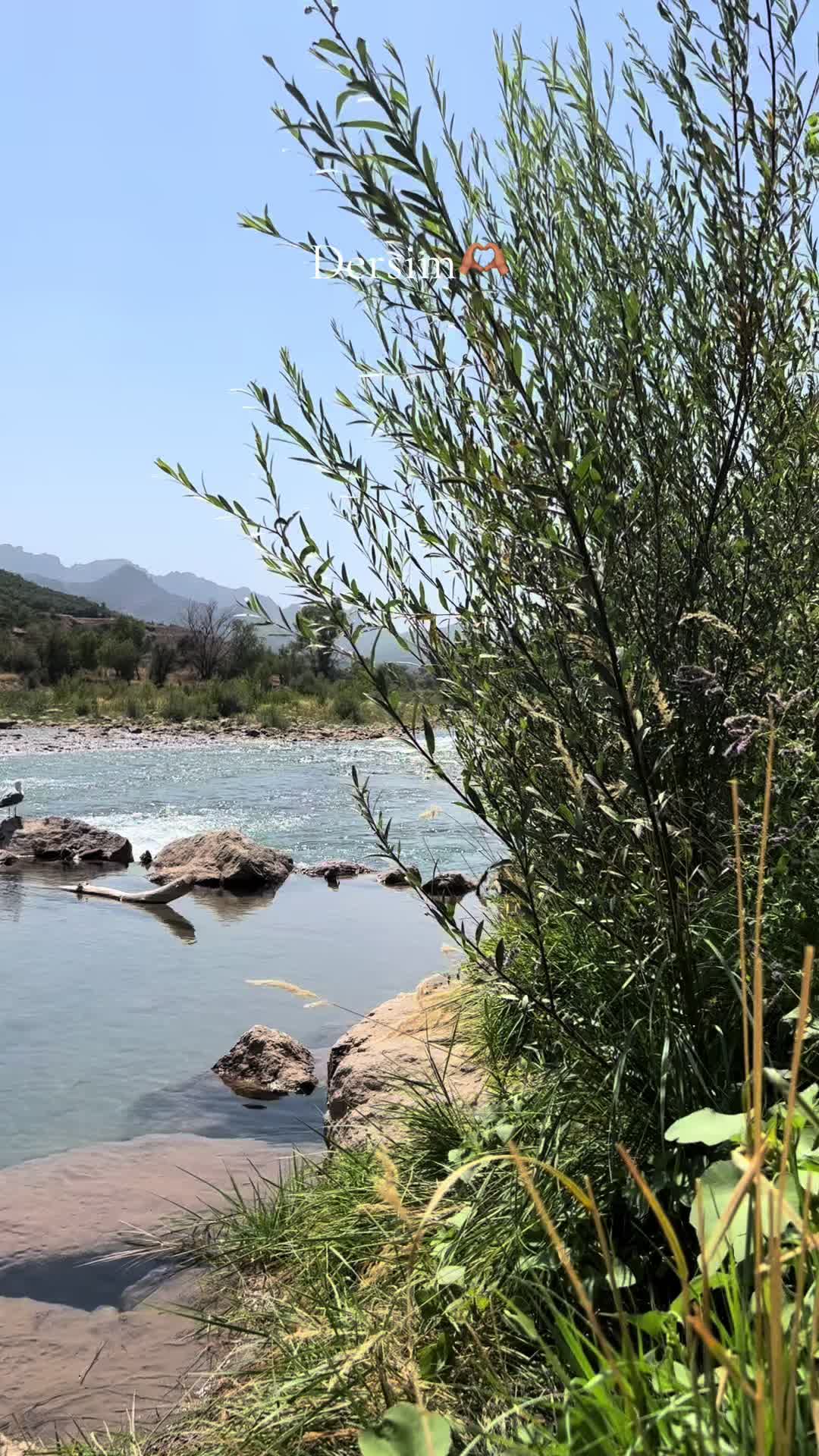 @Dersim