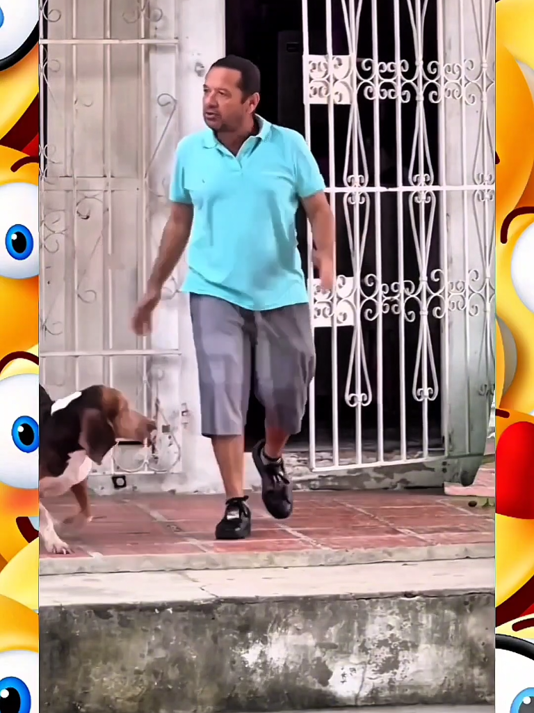 @😂-SIMBÓOORA RIR-😂