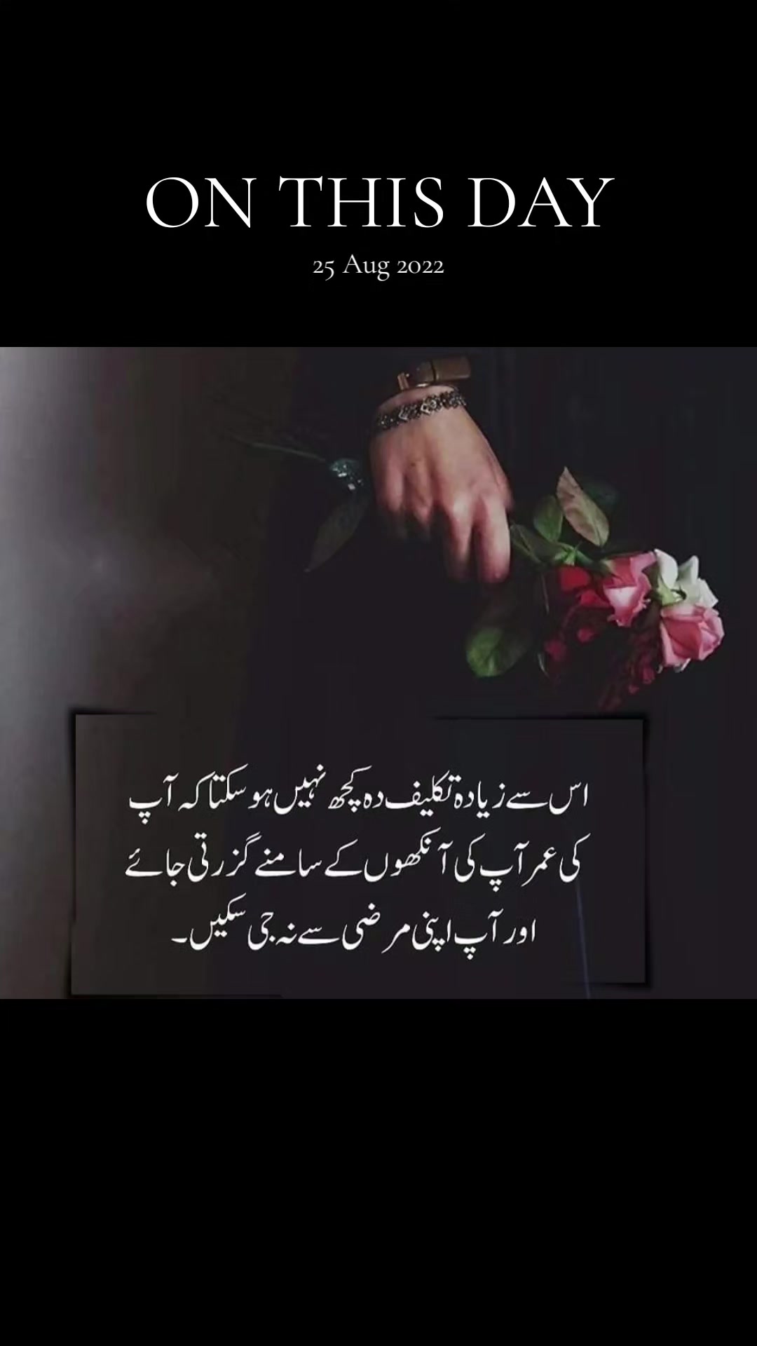 @Khair Ul Bariyya🫶