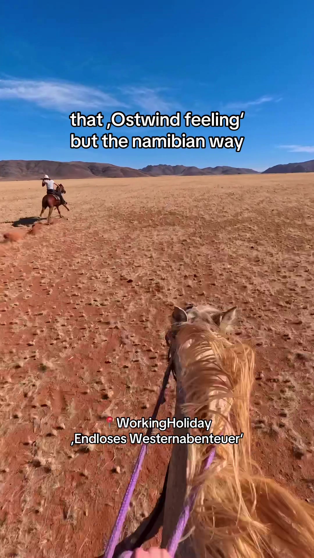 @Hoof & Travel 🐴🌍🐘