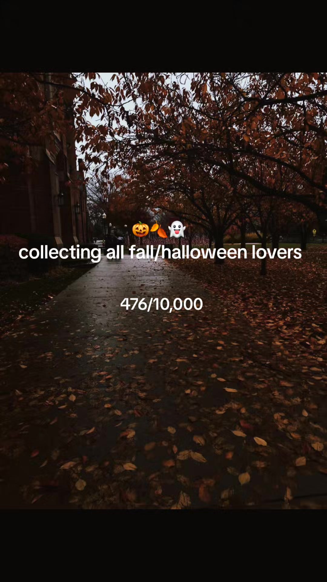 @FrightToFestive
