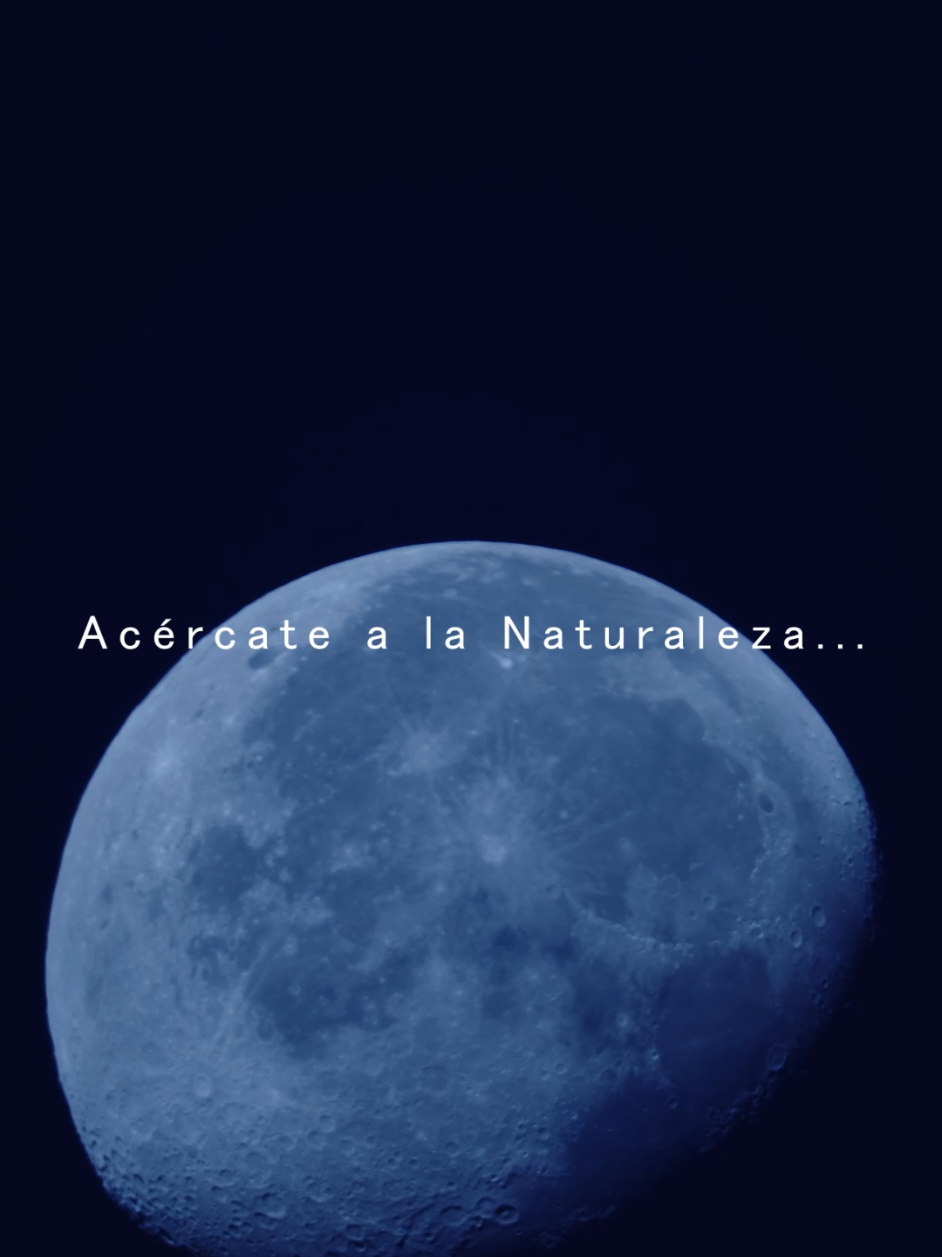 @RecobaX