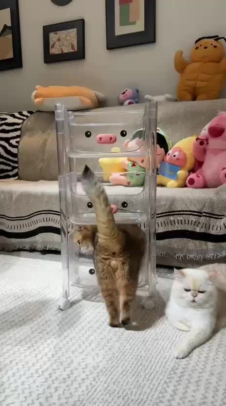 @Funny