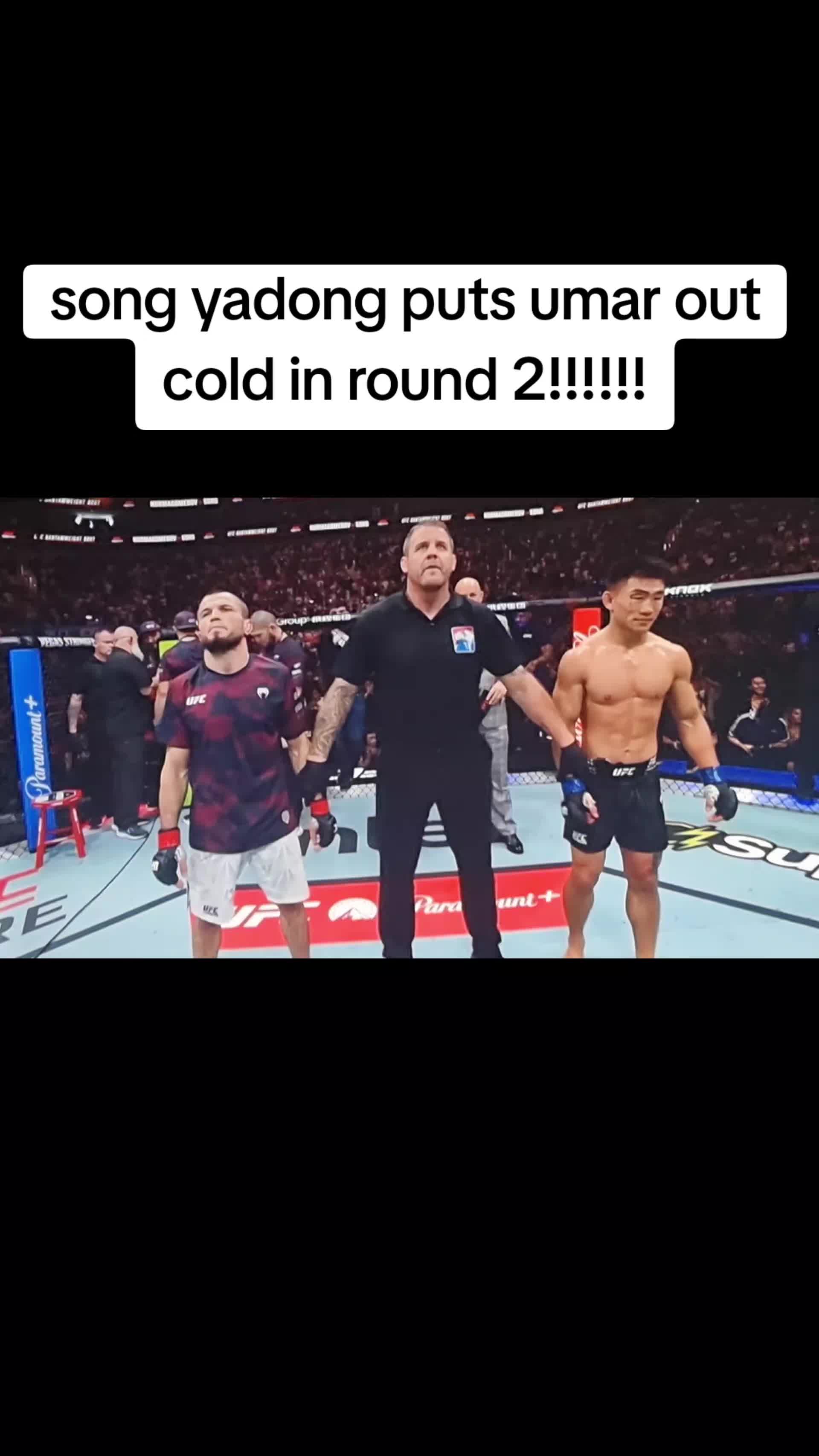 @everydaymma