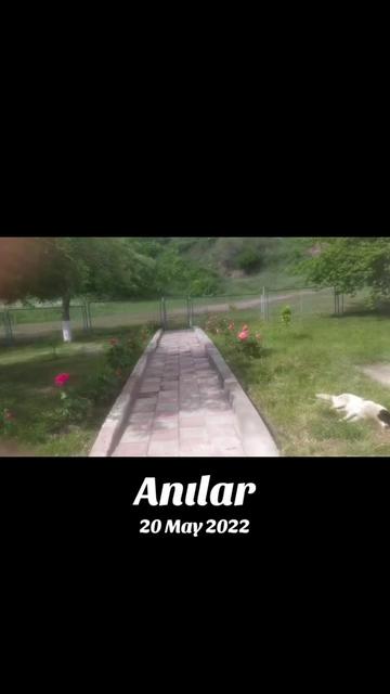 @Əvəz099