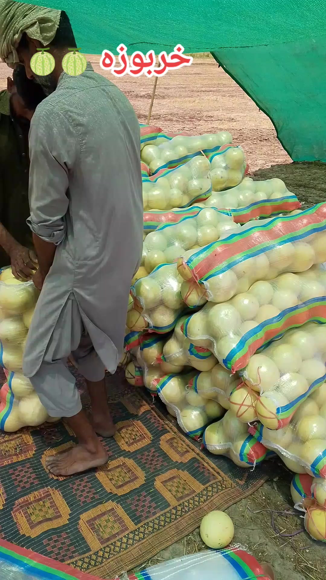 @چوہدری ثمر بھٹی