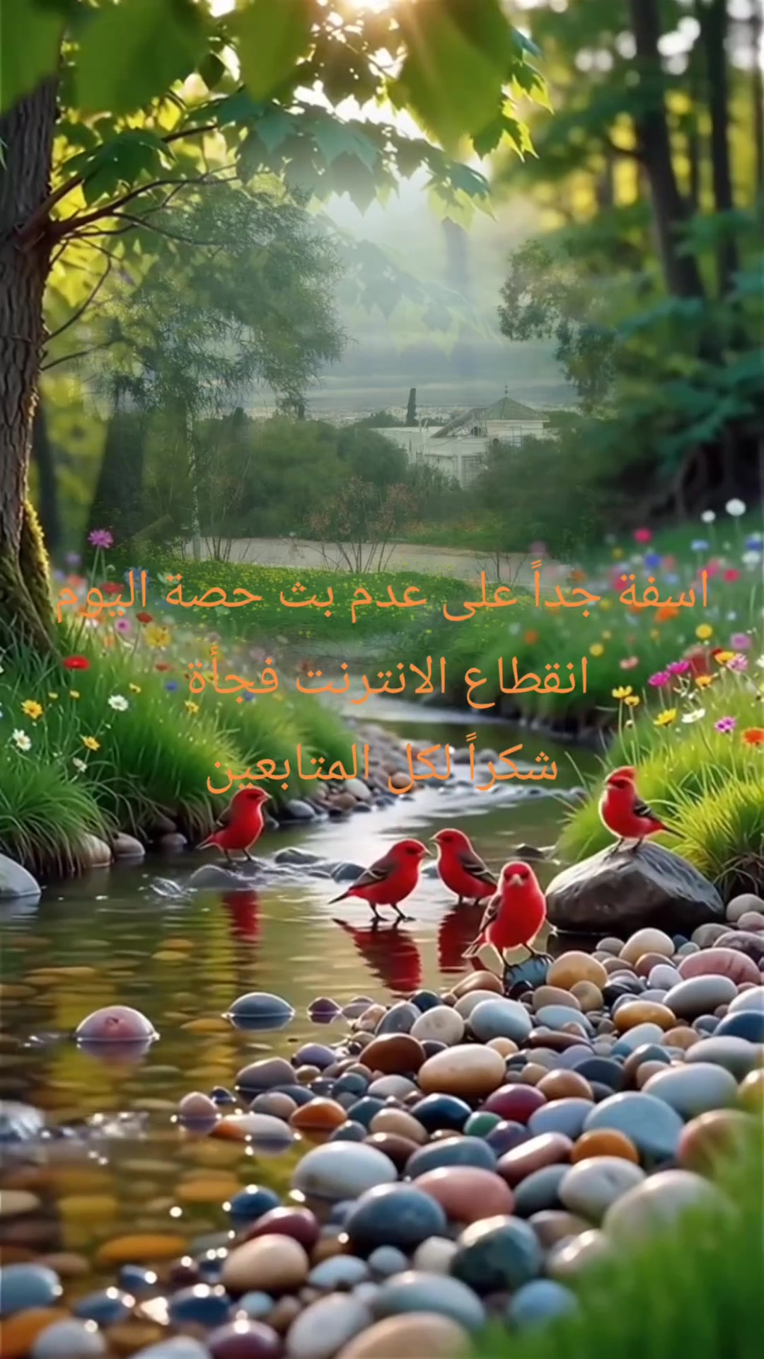 @assidi Aida