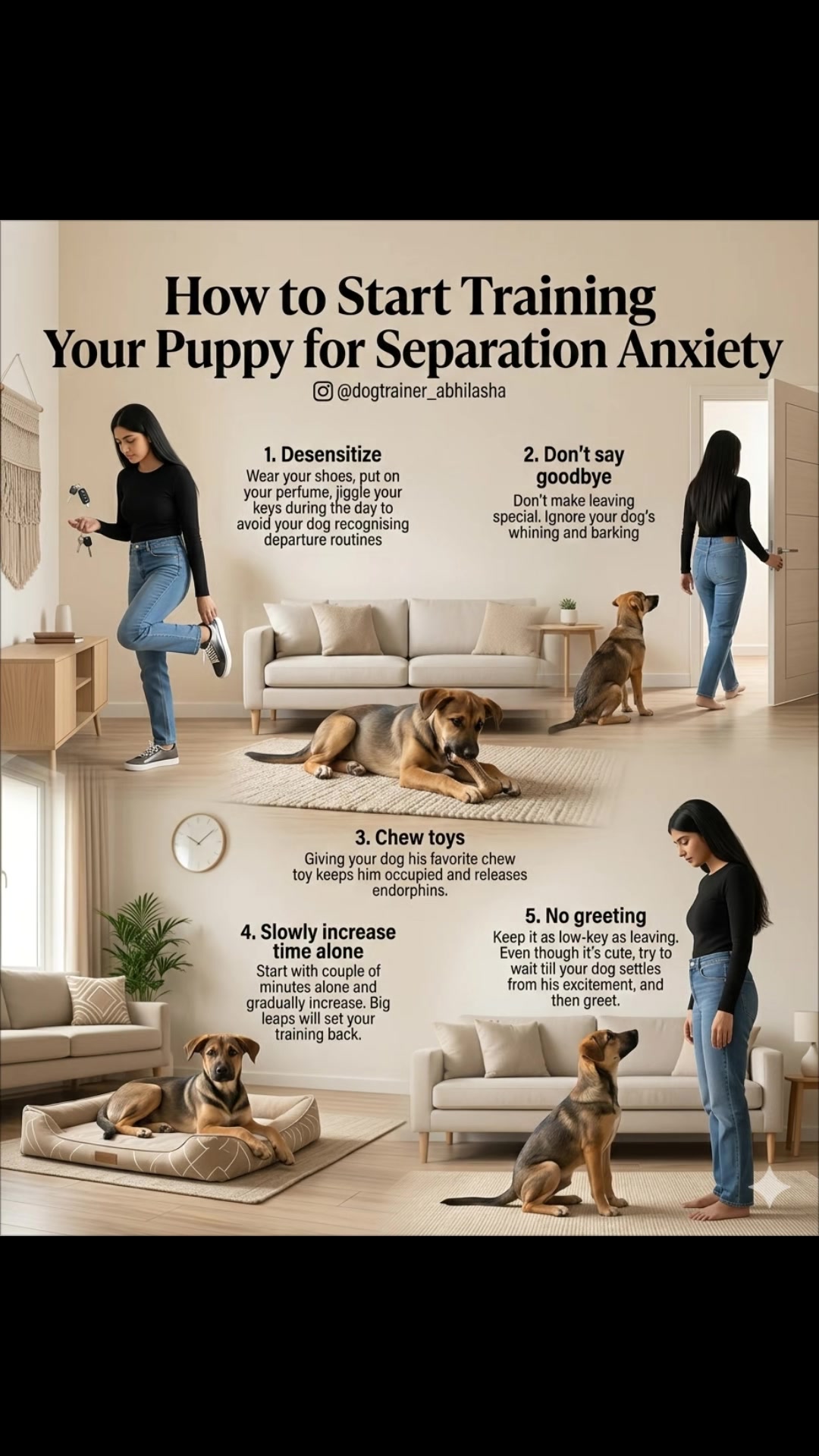 @Abhilasha - DogTrainer