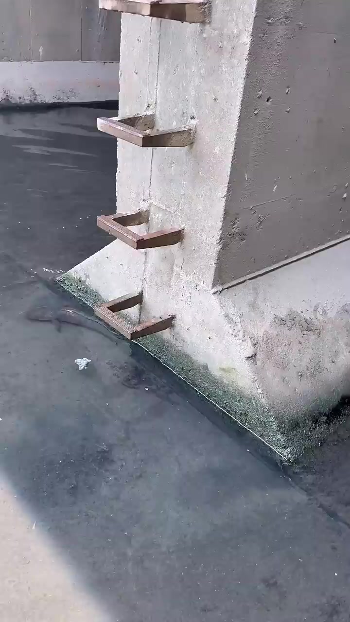 @أبوجنا  (صلى على سيدنا محمد )