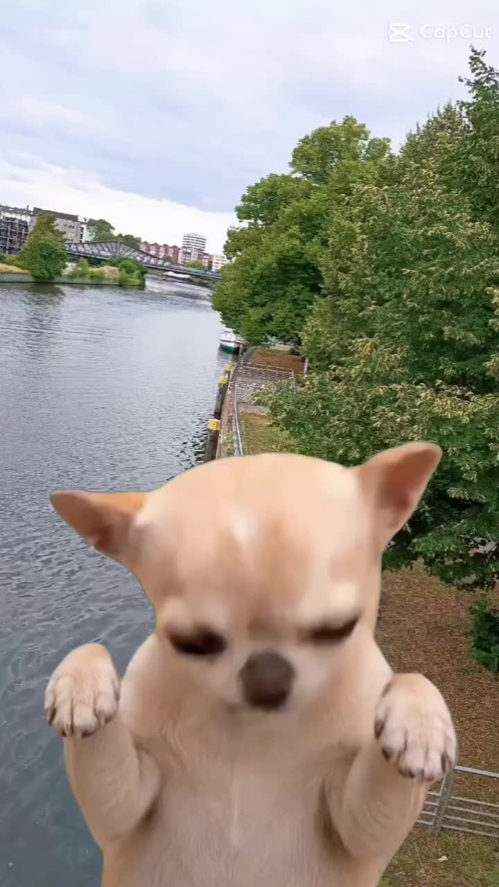 @Goodfeel2306 - Berlin😎🌞