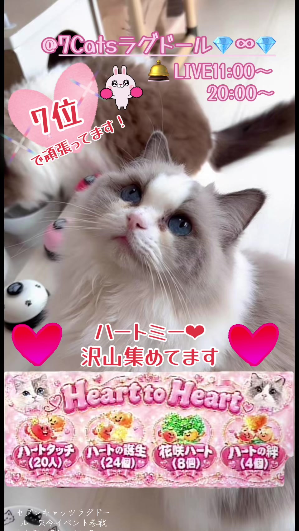 @ãµãã»ãºð∞ðç«å¥œã