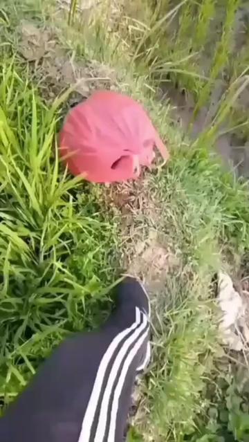 @Rajawali Sakti
