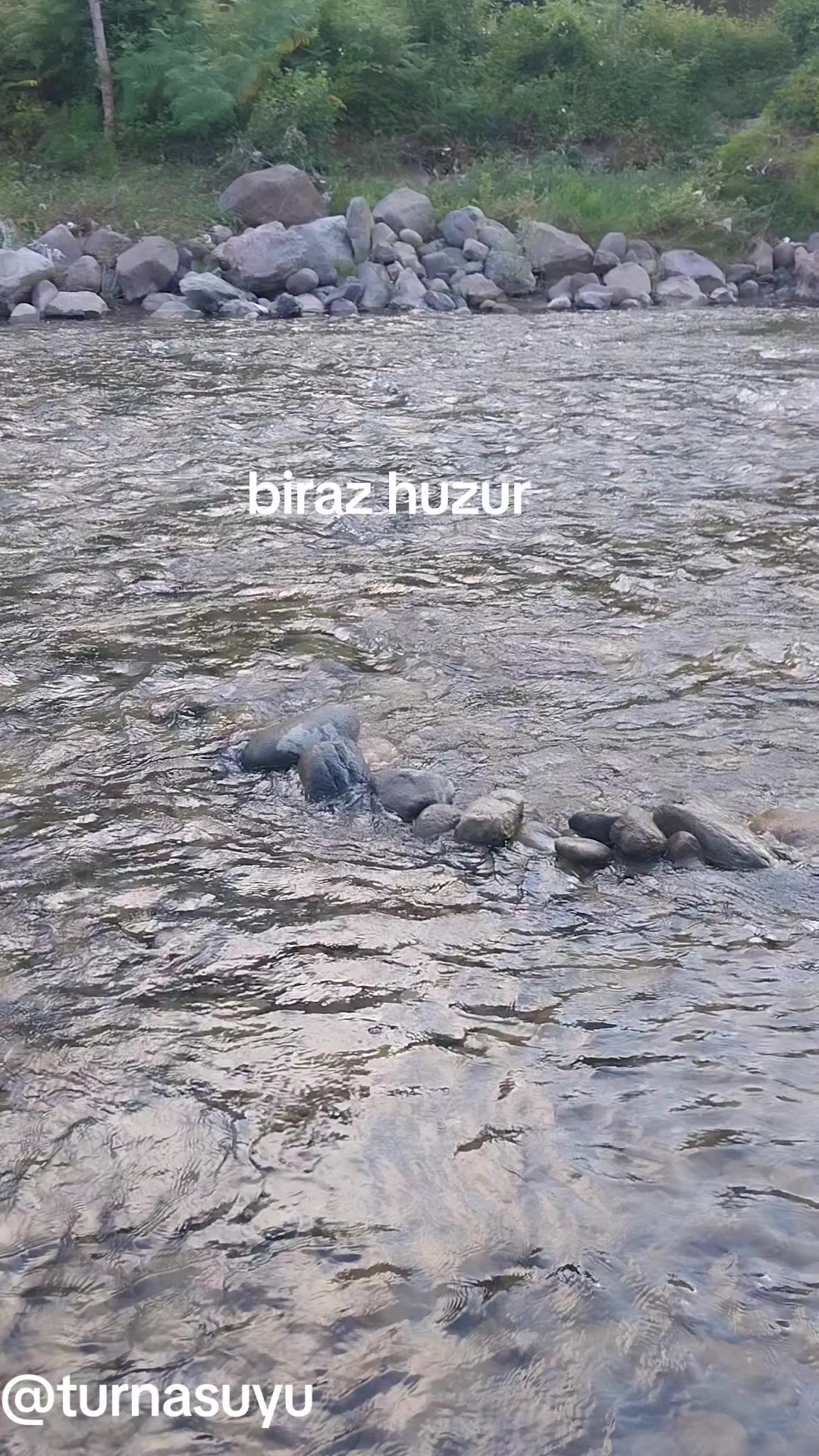 @##Ykslohtmş##