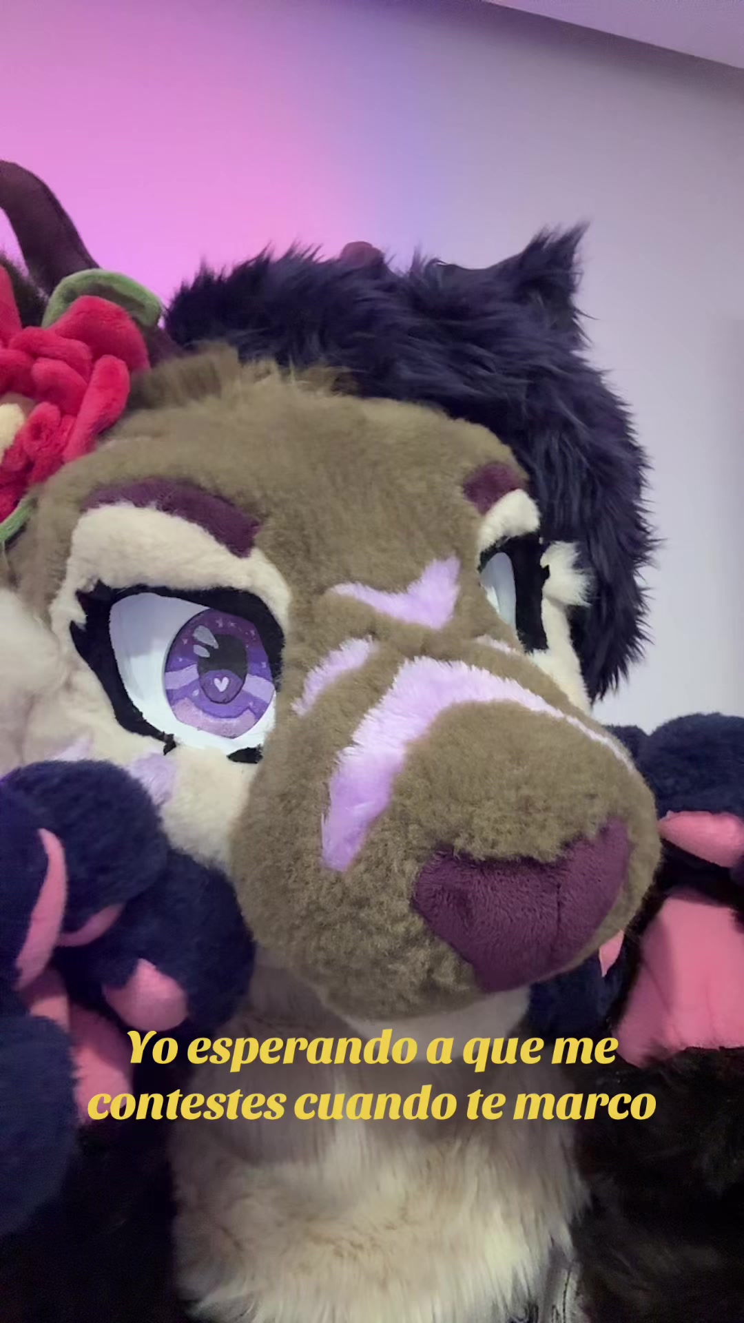 @Riley :3