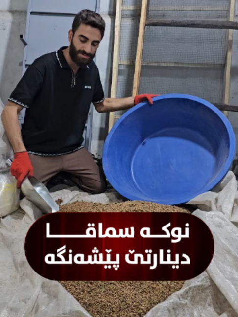 @GAV TV