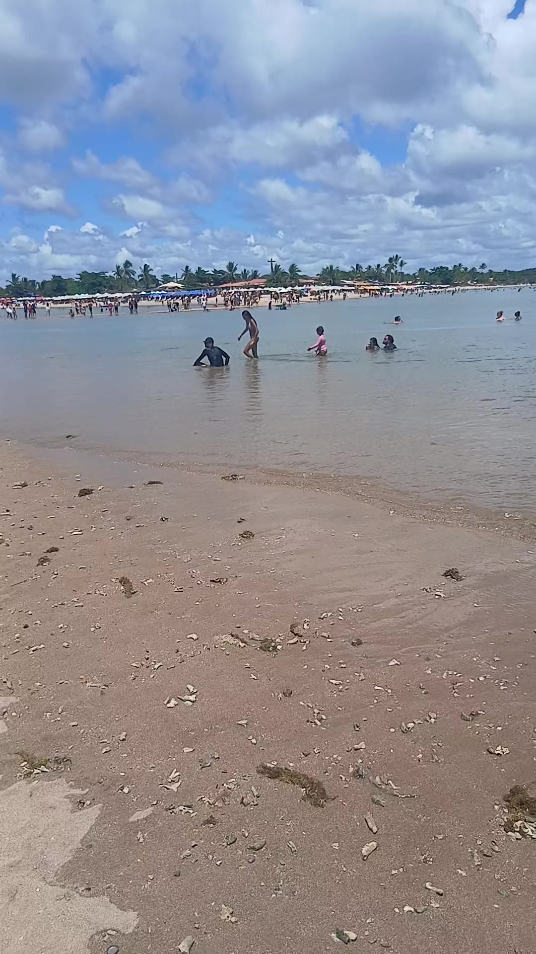 @Bel Alves