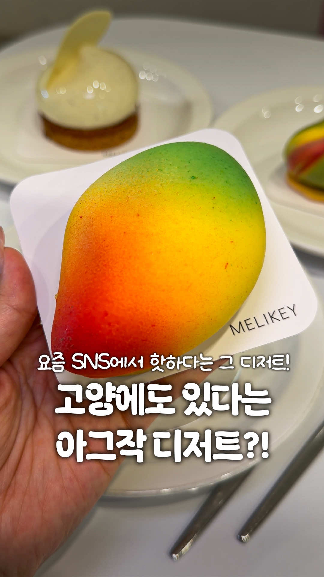 @일산갈고양