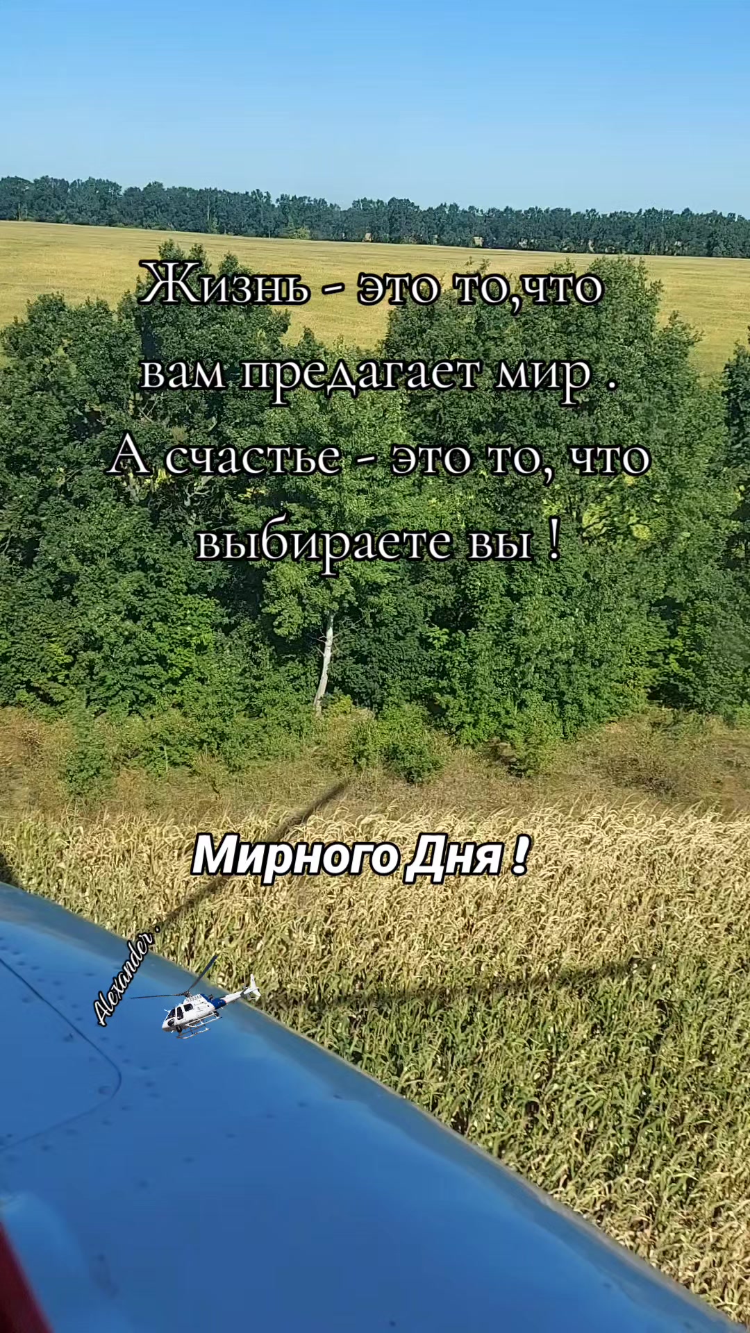 @Александр
