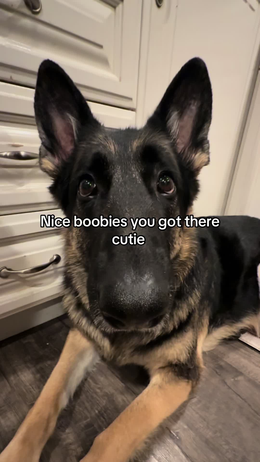 @Bhris
